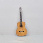 593202 Gitarr